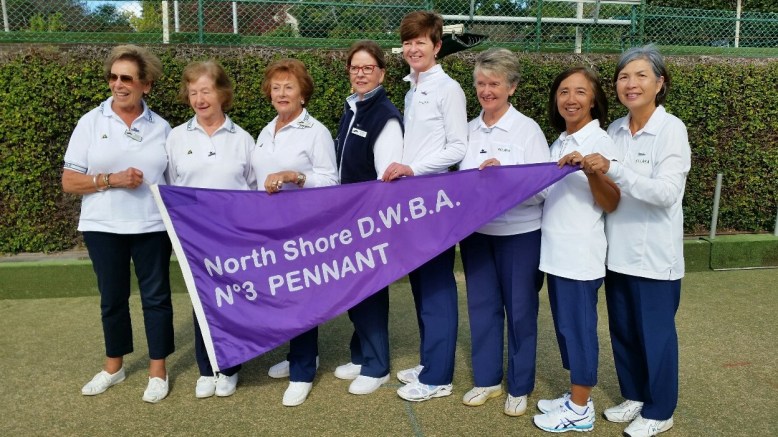 Grade 3 Pennant 2017